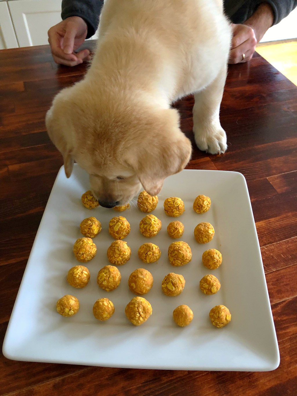 No Bake Peanut Butter Dog Treats