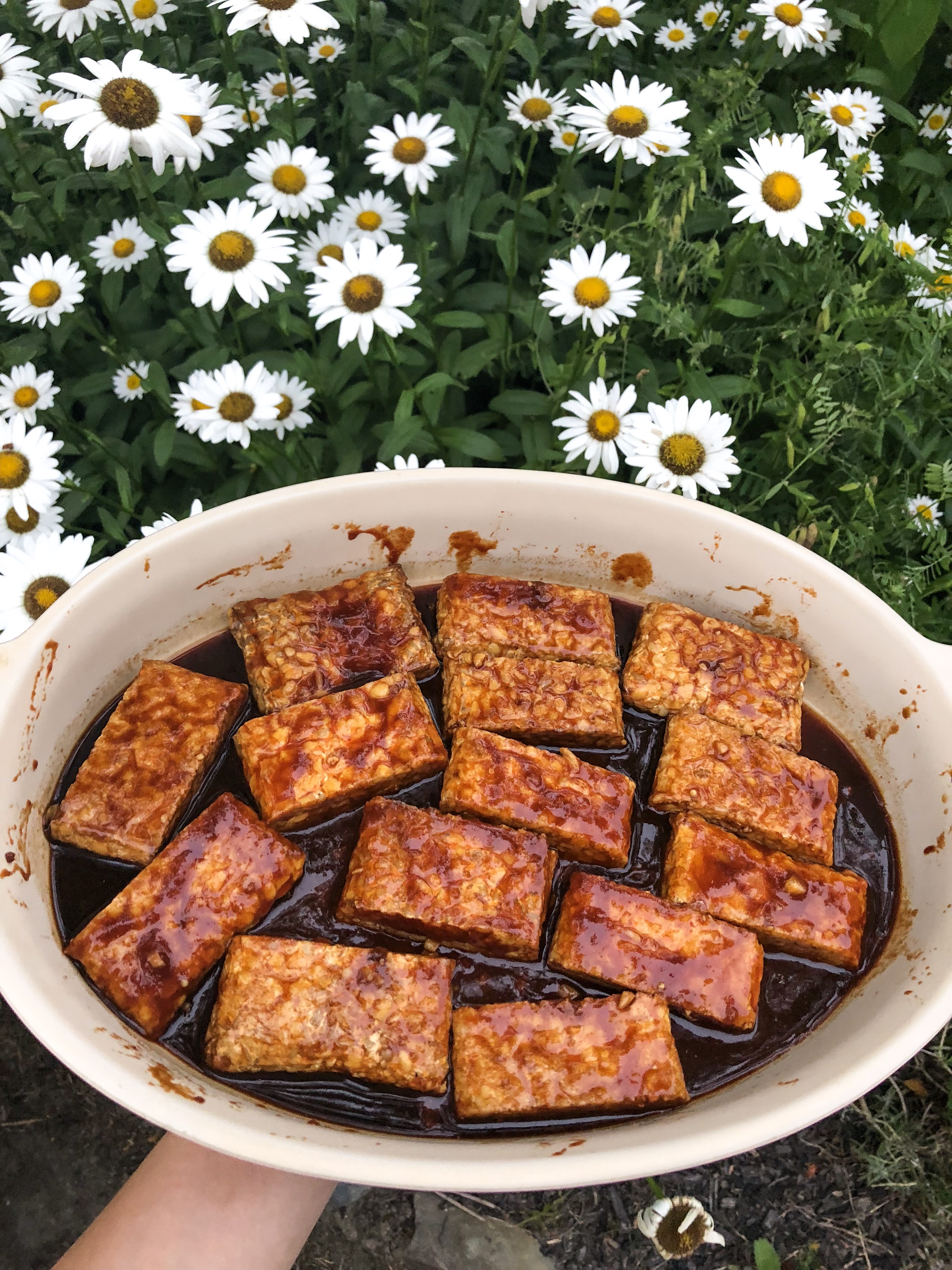 BBQ Tempeh Strips Insta